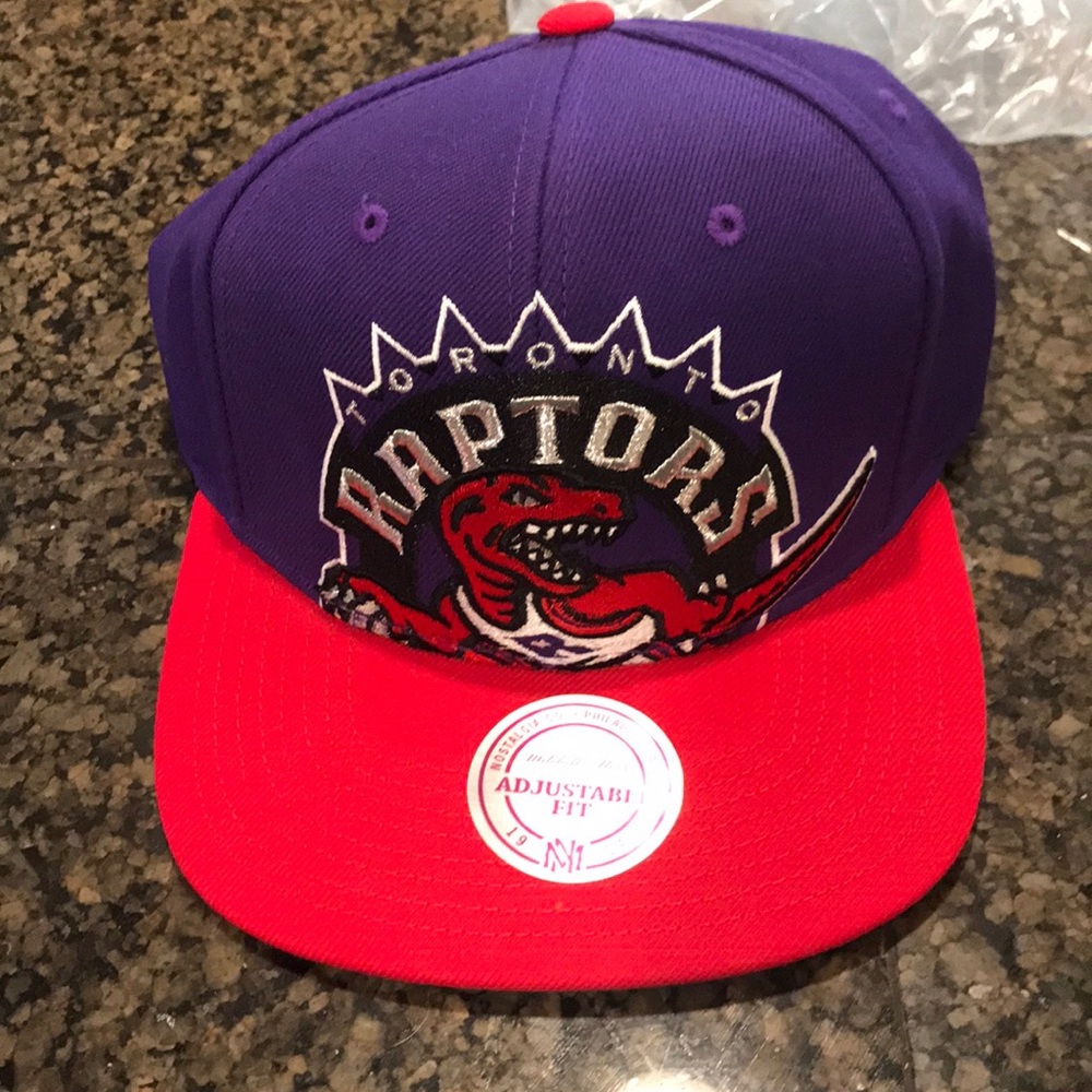 Raptors hat